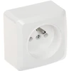 LIZDAS MONTUOJAMAS ANT PAVIRŠIAUS PAVIENIS BERG/3733-00/EPN 250 V 16 A Elektro-Plast