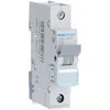 Hager Jungiklis 1P B 25A 6kA AC (MBN125E)