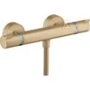 Hansgrohe ECOSTA.BA.TERMOSTA.PRYSZNI.COM.MON.NA.