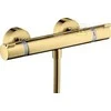 Hansgrohe ECOSTA.BA.TERMOSTA.PRYSZNI.COM.MON.NA.