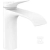 Hansgrohe VIVE.VIENOS RANKENOS.BA.PRAUSTUVAS 110 SU KOMISIJATORIUMI.