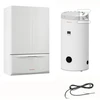 Immergas EXTRA 24 STANDARD 100 RINKINYS