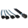 ITT Inter-Tech SFF-8643 – 4x SATA/SAS 0,7 m 12 Gbit/s Mėlyna