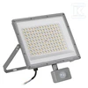 Kanlux NASH.LED alyvos lemputė 100W CCT SE GR