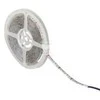 Kanlux TAŚ.LED šviesos diodai-B14,4W/M IP54RGB