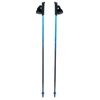 Kije nordic walking Viking Pro-Trainer mėlyna 110