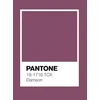 Patalynės komplektas Domoletti BED COV SET SOLID PLUM SATEEN 200X220