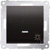 Kontakt-Simon Simon 54 Mygtukas /šviestuvas/ su LED apšvietimu 16AX 250V antracitas DS1AL.01/48