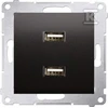 Kontakt-Simon Simon 54 įkroviklis 2xUSB 2.1A 5V / DC antracitas (DC2USB.01 / 48)