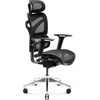 Biuro kėdė Diablo Chairs V-Commander Juoda