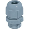 Shumee LAPP DŁAW.KAB.STR-M 25X1.5 RAL 7001 SGY PA