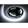 LED styga 25m Rebel (1500x5050 SMD) šaltai balta, 12V