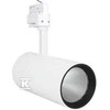 Ledvance Akcentinis šviestuvas D95 55W 55 W 4000 K 90RA NFL WT