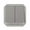 Legrand 069526L NAUJAS PLEXO 55 Dvigubas jungiklis/dvigubas mygtukas su apšviestu mechanizmu 10 AX - 250 V AC pilka 069526L