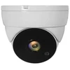 Carruzzo LevelOne ACS-5302 apsaugos stebėjimo kamera Skliautas CCTV stebėjimo kamera Vidaus ir lauko Lubos