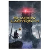 Microsoft MS ESD Shadow Labyrinth – standartinis leidimas XXL MS