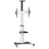 Laikiklis Equip Grindų stovas 6506002 37 "- 70" '