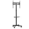 Laikiklis Montis Mobilny uchwyt do TV - MT191 ATLAS 152.4 cm (60")