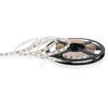 Nextec JUOSTOS 12V 300 LED IP33 4000-4500K 10MM