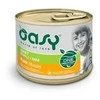 Šunų maistas - Oasy One Protein Adult Small/Mini Pork Wet Food 200g
