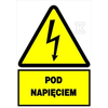 Onnline NĖRA 74X105S PLOKŠTE (GYVAI) TEIKTI
