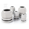 Onnline PG-29 IP68 Glend (18-25MM) PAKUOTĖ=5Vnt