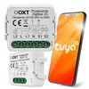 OXT mini 2 grandinių ZigBee Tuya modulis