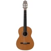 Prodipe Guitars Primera 4/4 Nat CEQ – elektroklasikinė gitara