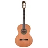 Prodipe Guitars Recital 300 – klasikinė gitara