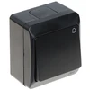 PAVIENIS MOMENTINIS MYGTUKAS HERMES/0337-09/EPN 250 V 10 A Elektro-Plast