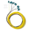 Qoltec 12 x LC/UPC šviesolaidinė košė | Vienmodis | G657A2 | 2 m