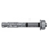 Ankerinis varžtas RawlPlug R-XPT-10065/5; 10x65 mm; 50 vnt.