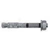 Ankerinis varžtas RawlPlug R-XPT-10080/10; 10x80 mm; 50 vnt.