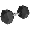 Gumuotas ketaus hantelis HEX 20kg, REBEL ACTIVE