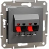 Schneider Electric Kištukinis lizdas su dvigubu garsiakalbiu, be antracito rėmelio (EPH5700171)