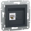 Schneider Electric Asforum kt. 5E UTP be antracito rėmelio (EPH4300171)