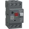 Schneider Electric GZ1E04 0,4-0,63A VARIKLIO STANDARTIS