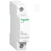 Schneider Electric Schneider IPF40- T2-1P viršįtampio ribotuvas - A9L15686