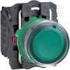 Schneider Electric MYGTUKAS XB5AW3365