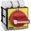 Schneider Electric Schneider 3P 80A įdėjimo izoliatorius (VCF4)