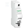 Schneider Electric Schneider Cilindro saugiklis 1P 8,5x31,5mm STI (A9N15635)