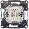 Schneider Electric Merten 10A 250V IP20 (MTN3116- 0000)