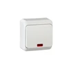 Schneider Electric Paviršinis jungiklis WNT-100PS 1 polių apšviestas baltas WDE001014