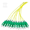 Securitynet PIGTAIL SM 9/125, SC/APC DŁ.2M