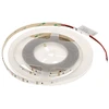 Mw Lighting TAŚMA LED LED120-12V/9.6W-CW/5M - 16000 K MW apšvietimas
