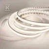 TAŚMA LED NEXTEC EX/24V/12W/IP67/3K 5M