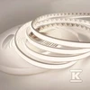 TAŚMA LED NEXTEC EX/24V/12W/IP67/4K 5M