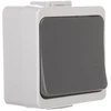 Timex Elektro WNT-1J-b/S SZ JANTAR-bis Vienas jungiklis su apšvietimu n/t IP44 rutulinis WNT-1J-b/S