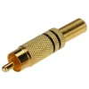 TST Priedas Lechpol RCA, 1 vnt.