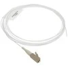 TST MULTIMODE PIGTAIL - LC PLUG 50/125 PIG-LC-MM